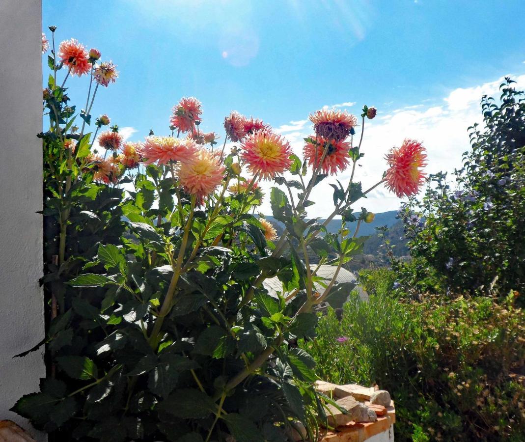 Charming House Ideal For Couples And Young Familie Tárbena Esterno foto